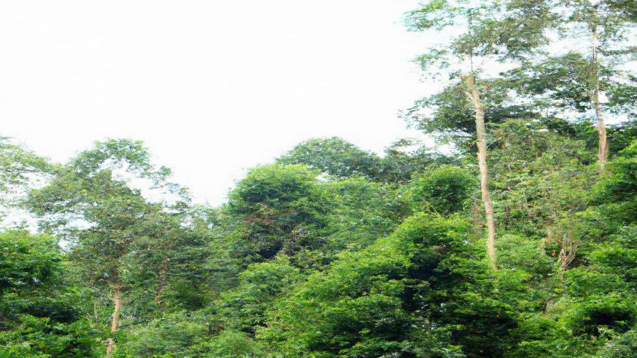 Czym jest zrównoważony rozwój?