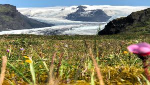 Gdzie leży Islandia